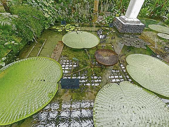 芦屋プラン株式会社七夕（たなばた1 Copilot